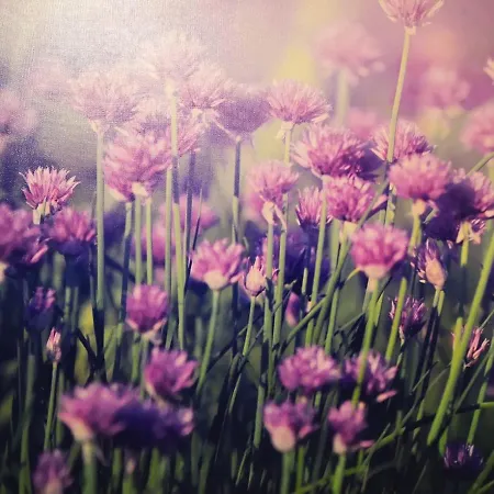 Alta Vista - Con 2 Y Vista Al Mar